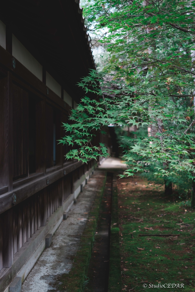 SONY RX1R3 RX1RⅢ 作例