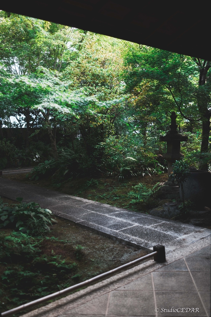 SONY RX1R3 RX1RⅢ 作例