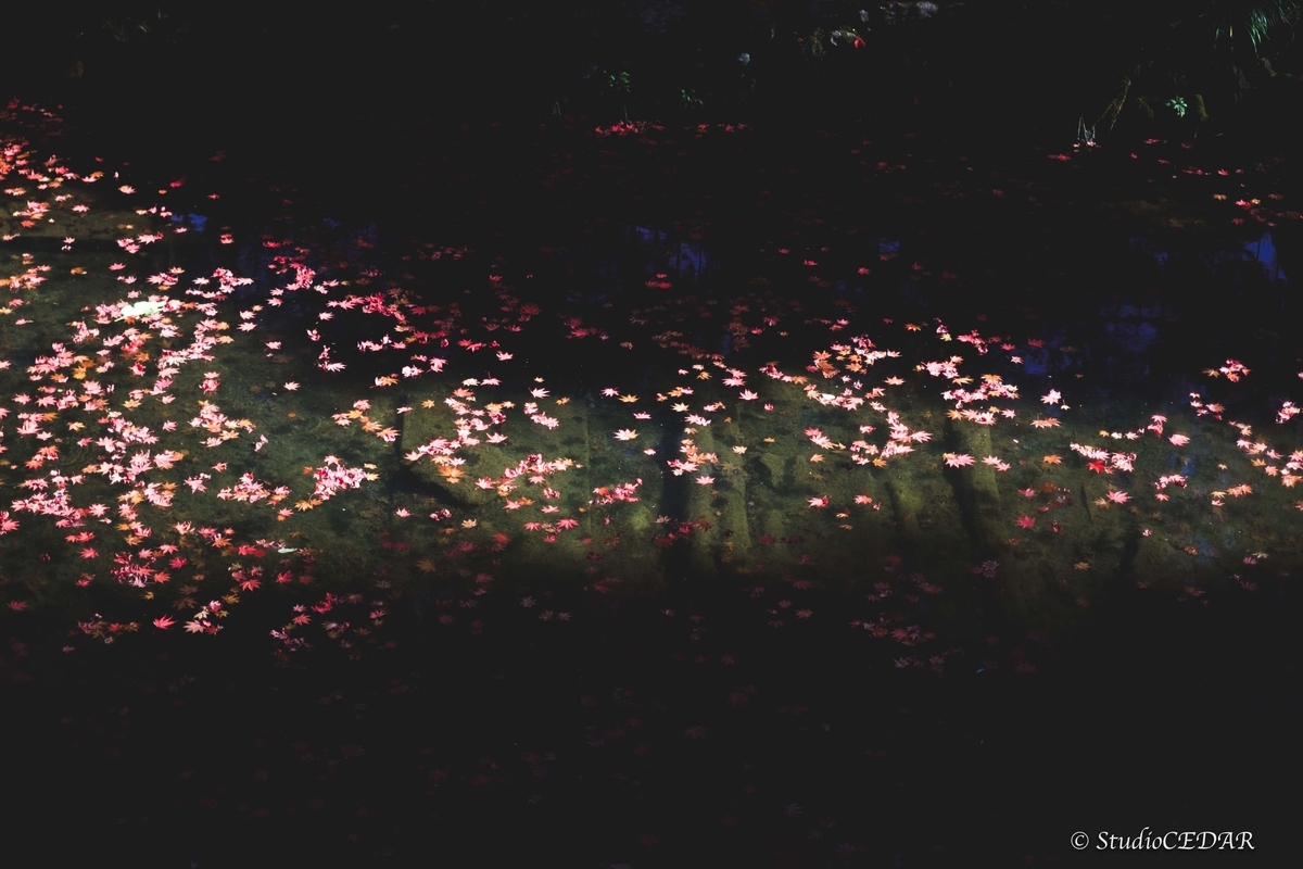 FUJIFILM X-E2 作例