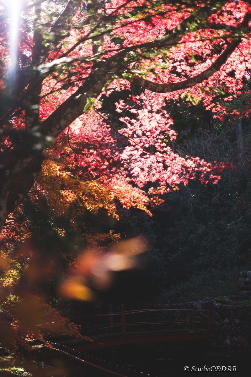 FUJIFILM X-E2 作例