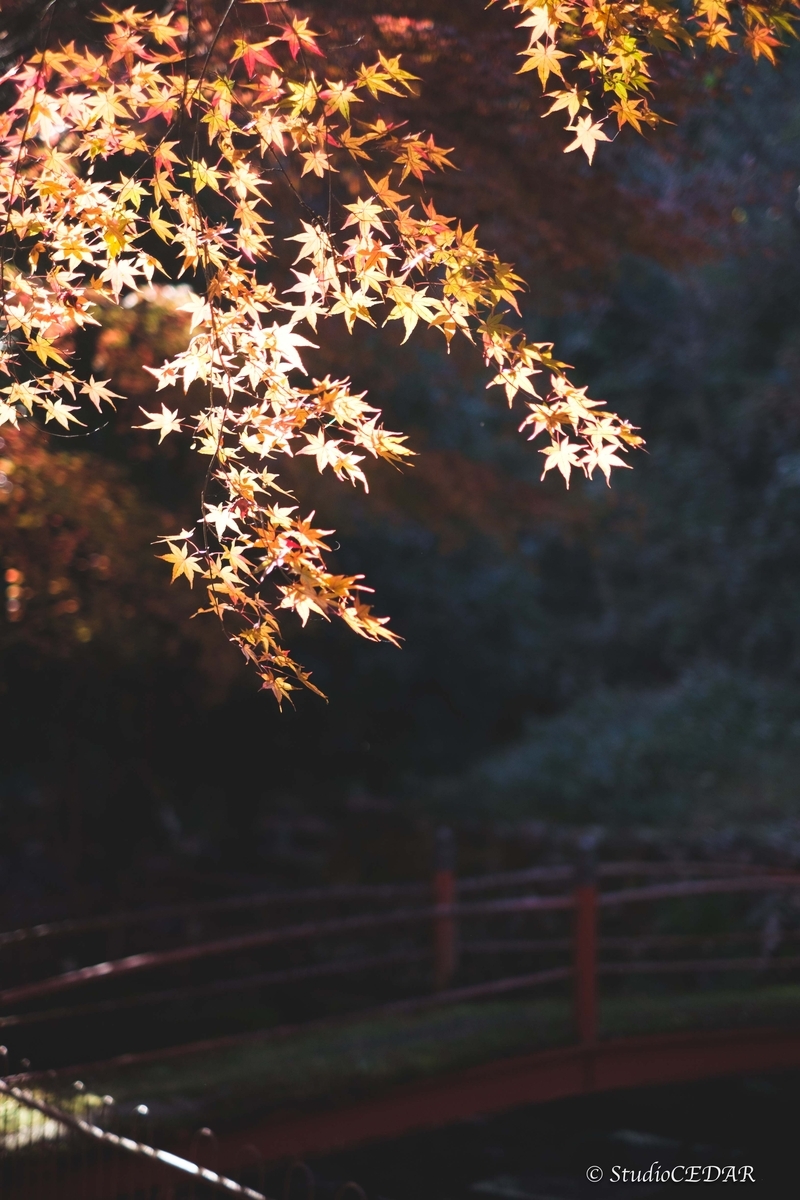 FUJIFILM X-E2 作例