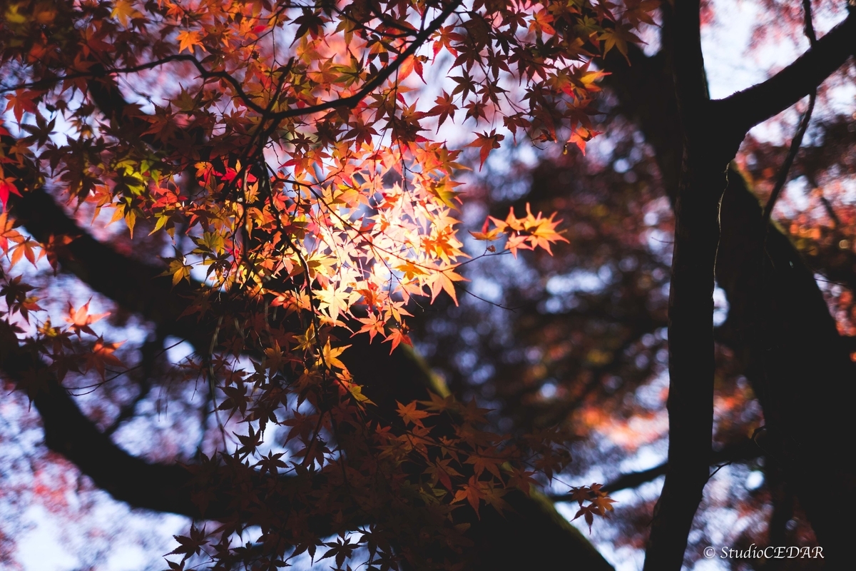 FUJIFILM X-E2 作例