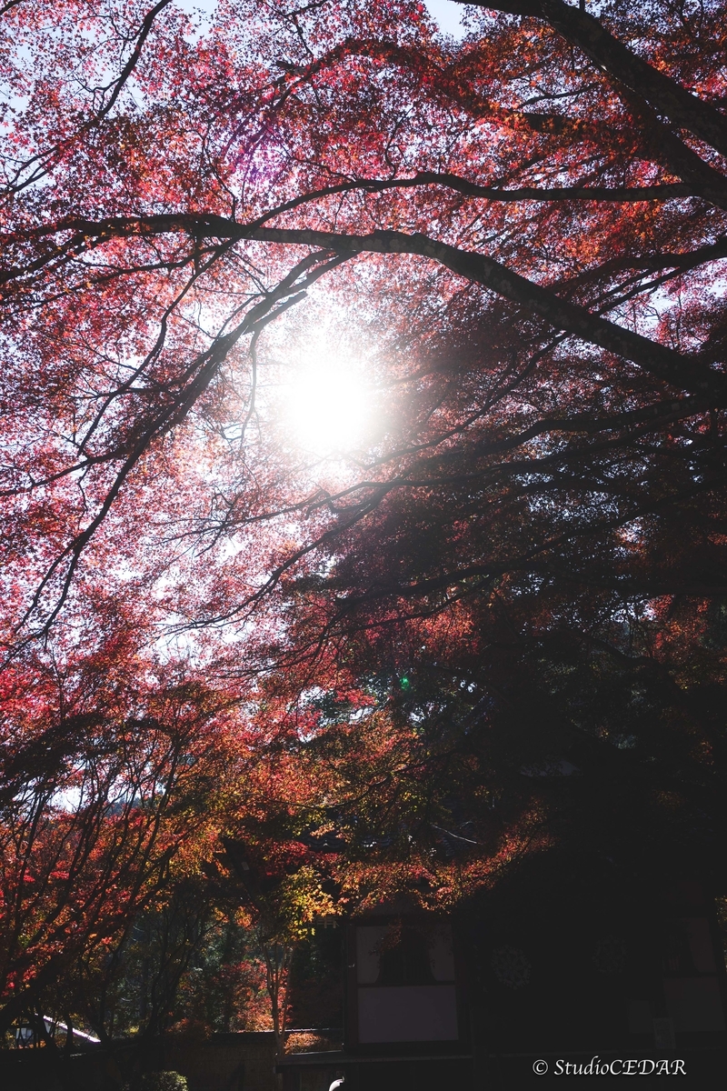 SONY RX1R3 作例