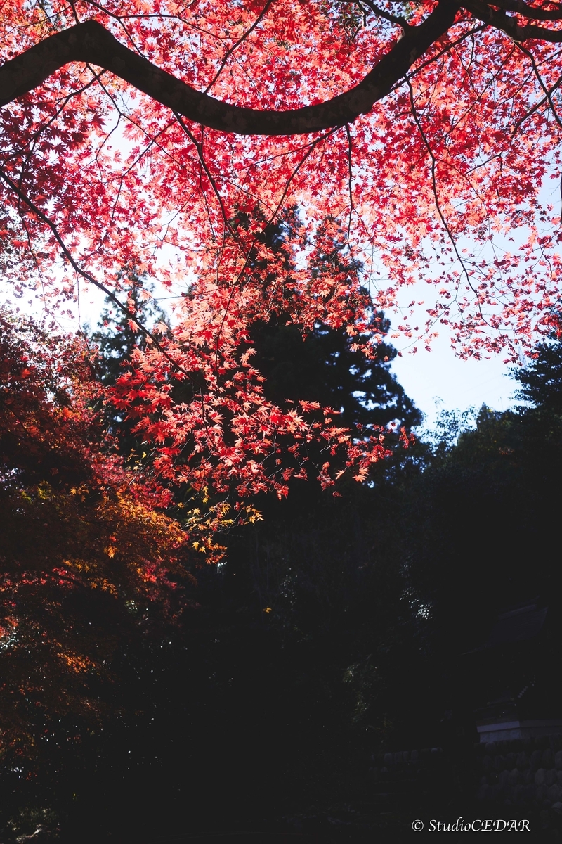 SONY RX1R3 作例