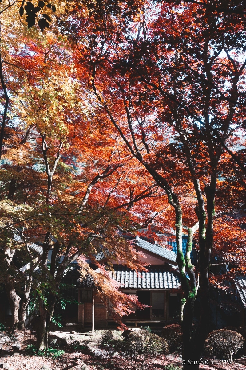 SONY RX1R3 作例