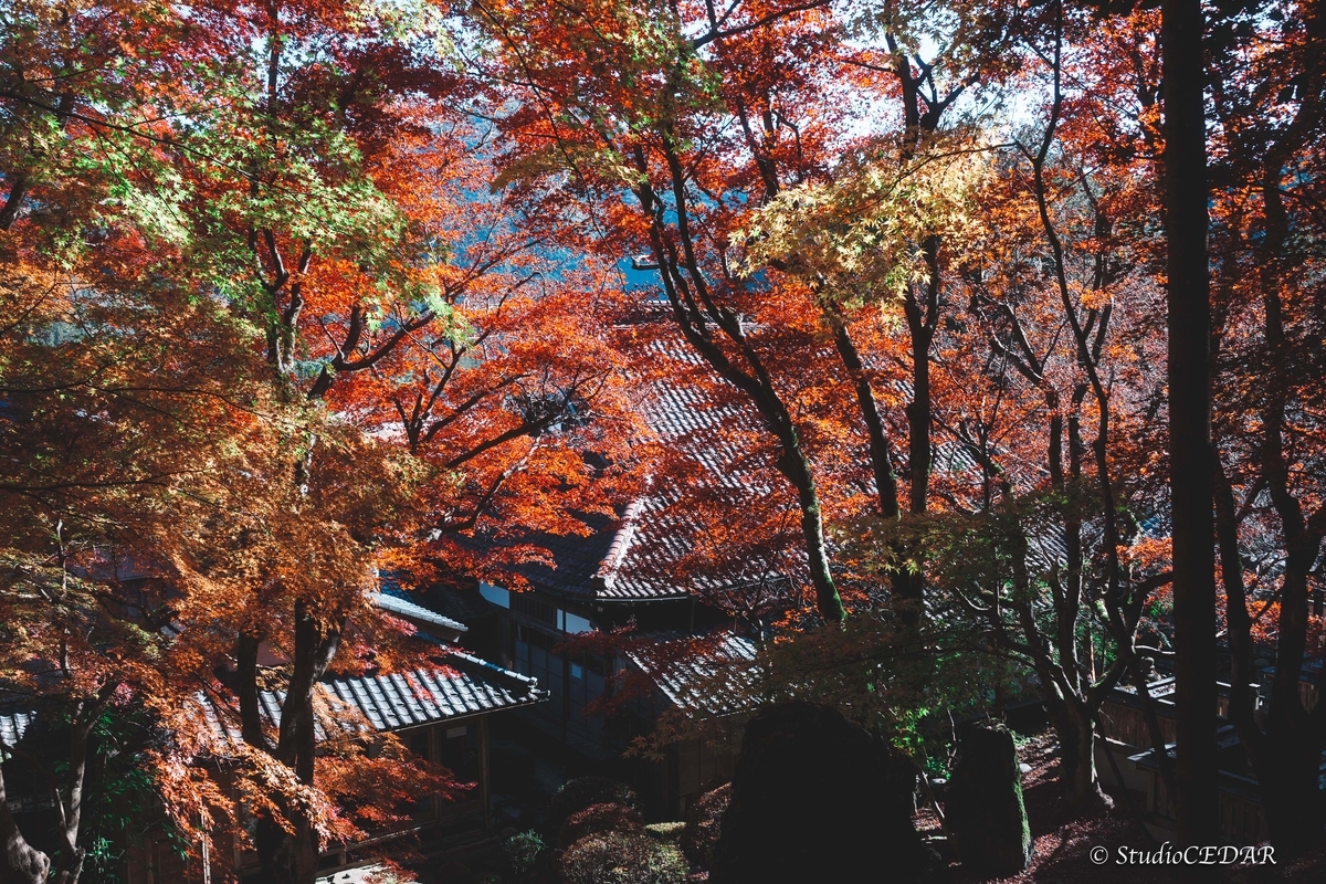 SONY RX1R3 作例