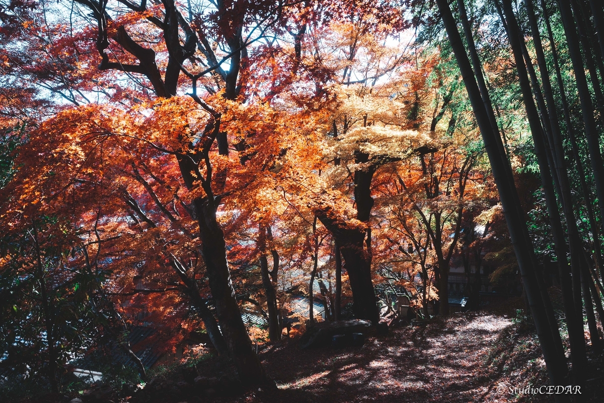 SONY RX1R3 作例
