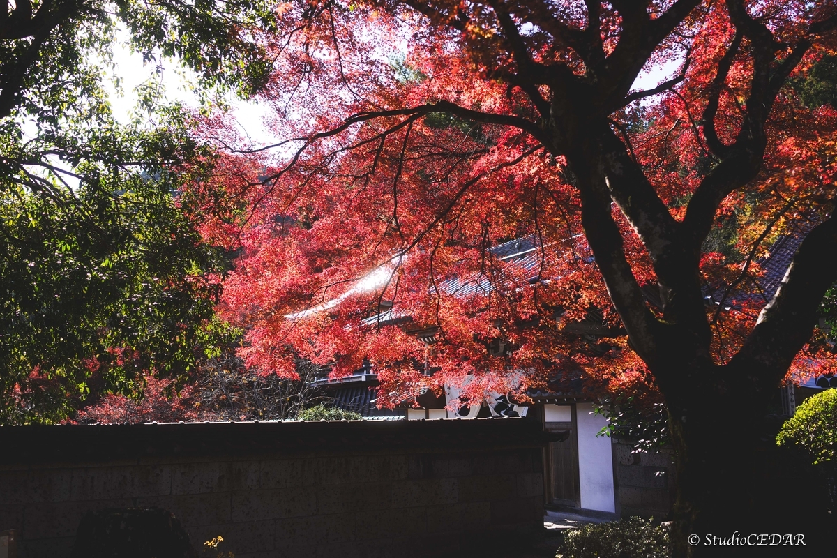 SONY RX1R3 作例