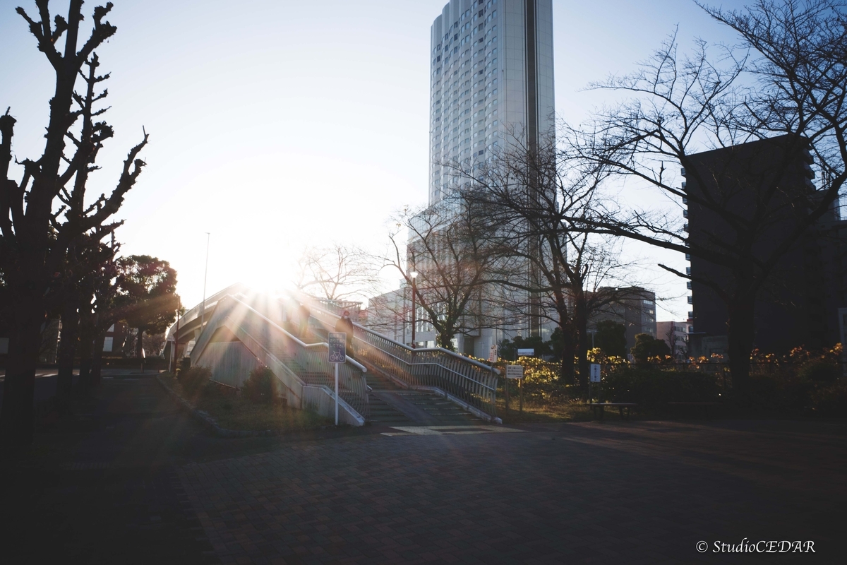 RICOH GR III（GR3）で撮影したスナップ｜28mmスナップ作例