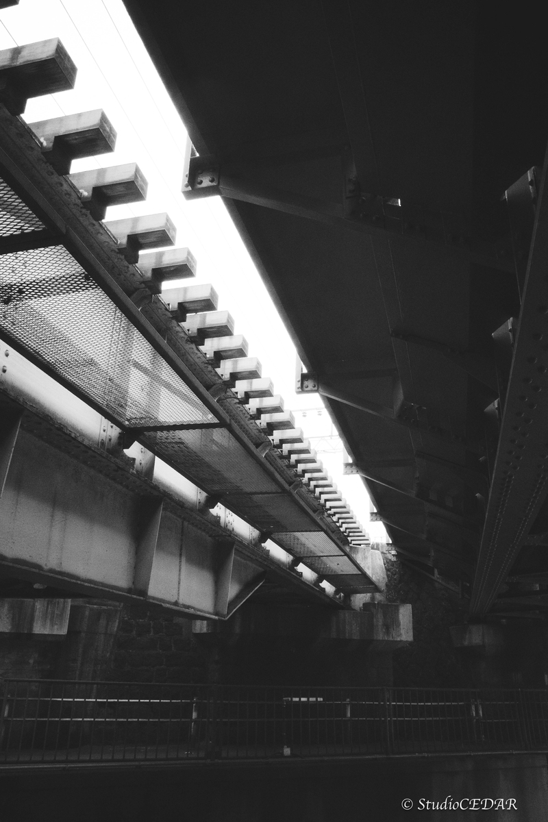 RICOH GR III（GR3）で撮影したスナップ｜28mmスナップ作例