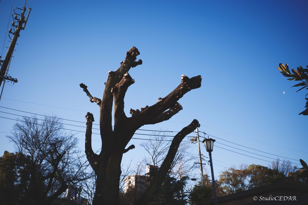 RICOH GR III（GR3）で撮影したスナップ｜28mmスナップ作例