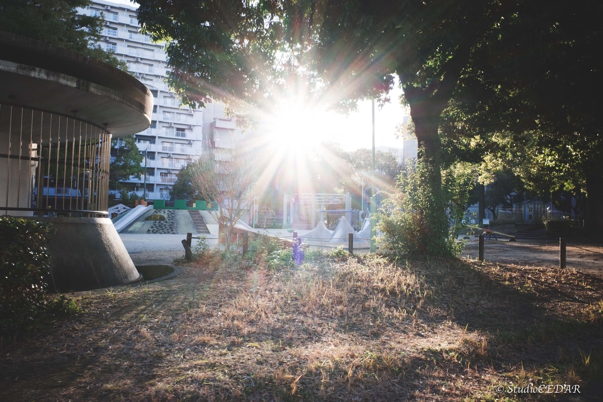 RICOH GR III（GR3）で撮影したスナップ｜28mmスナップ作例