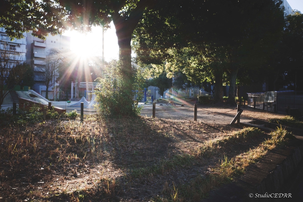 RICOH GR III（GR3）で撮影したスナップ｜28mmスナップ作例