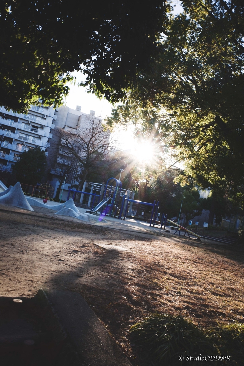 RICOH GR III（GR3）で撮影したスナップ｜28mmスナップ作例