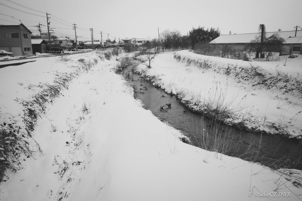 RICOH GR III(GR3)で撮影したスナップ|28mmスナップ作例
