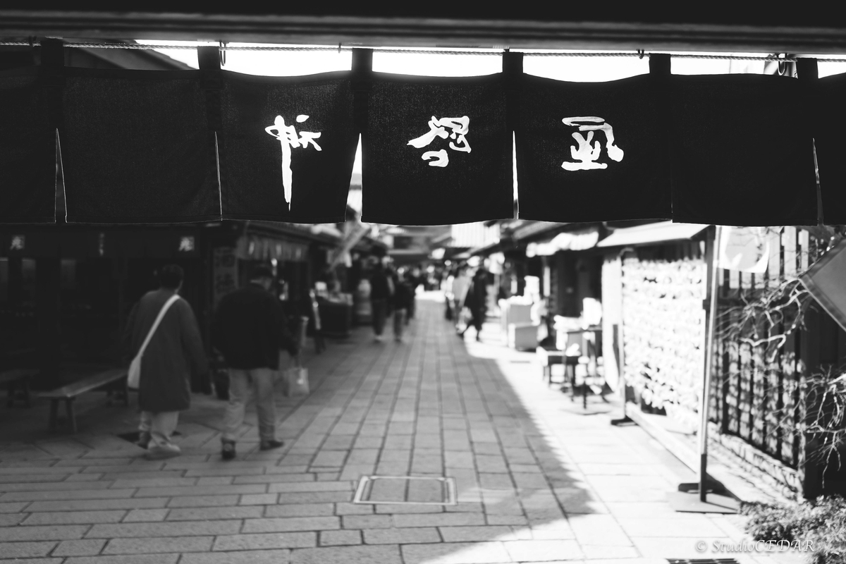 RICOH GRⅣ monochrome モノクローム 作例