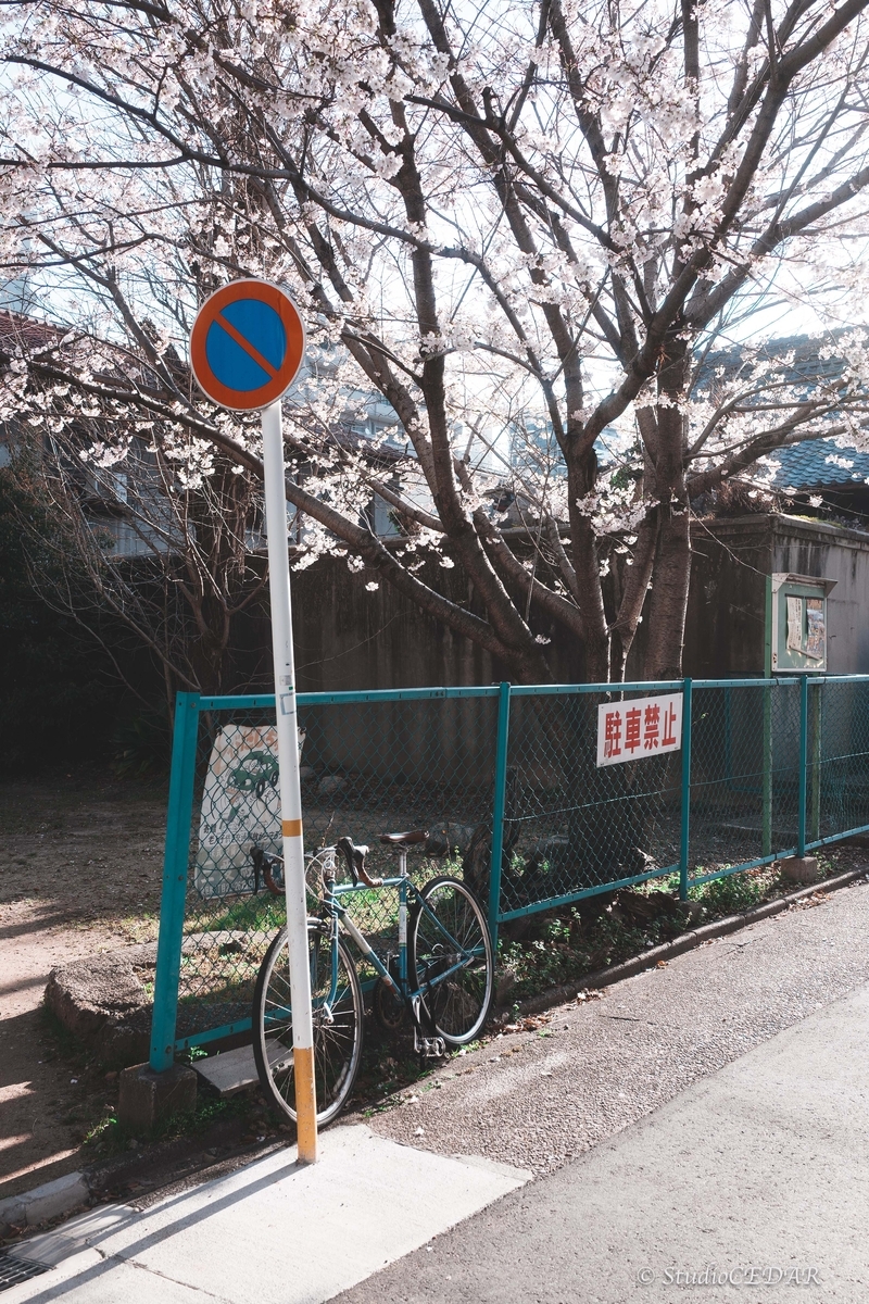 SONY RX1R3 作例