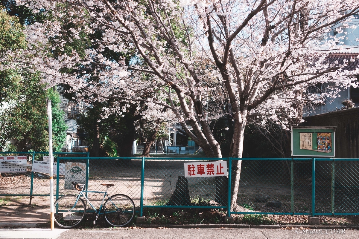 SONY RX1R3 作例