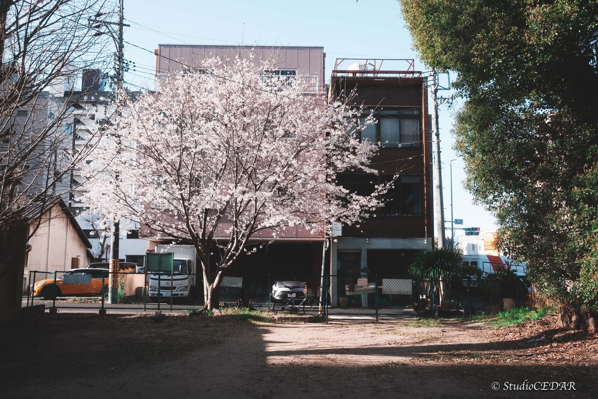 SONY RX1R3 作例