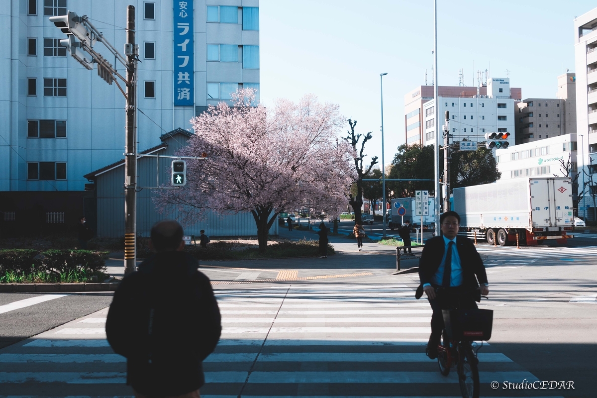 SONY RX1R3 作例