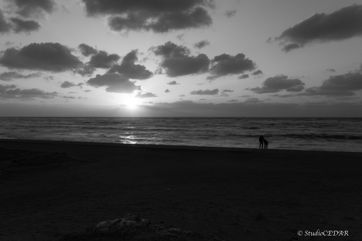 RICOH GRⅣ monochrome モノクローム 作例