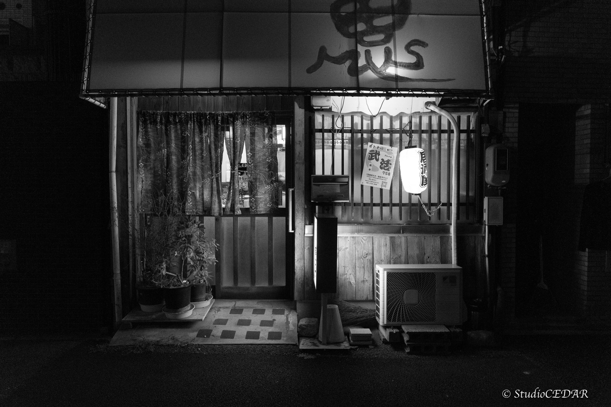 RICOH GRⅣ monochrome モノクローム 作例