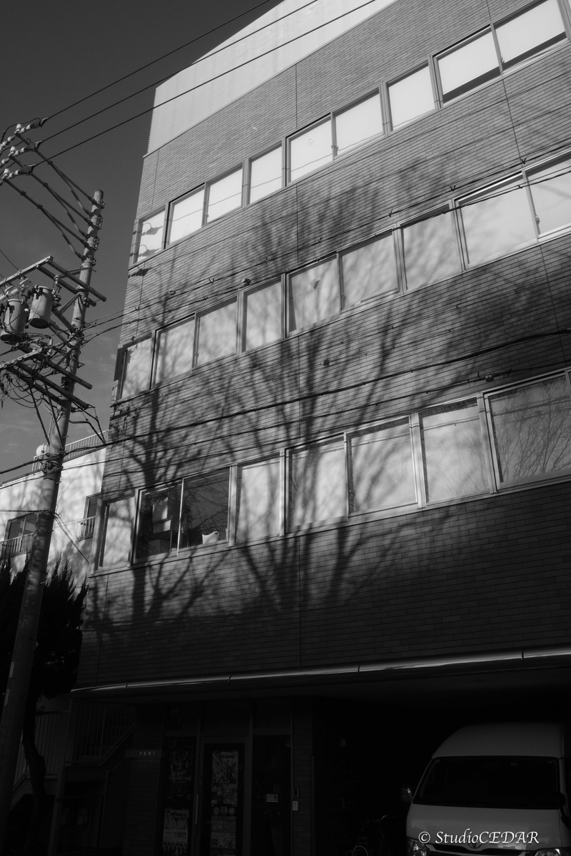 RICOH GRⅣ monochrome モノクローム 作例