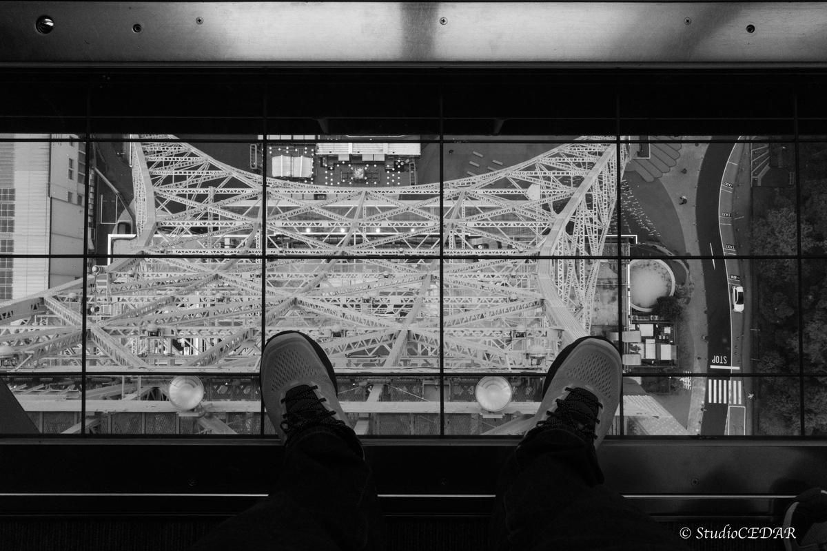 RICOH GRⅣ monochrome モノクローム 作例