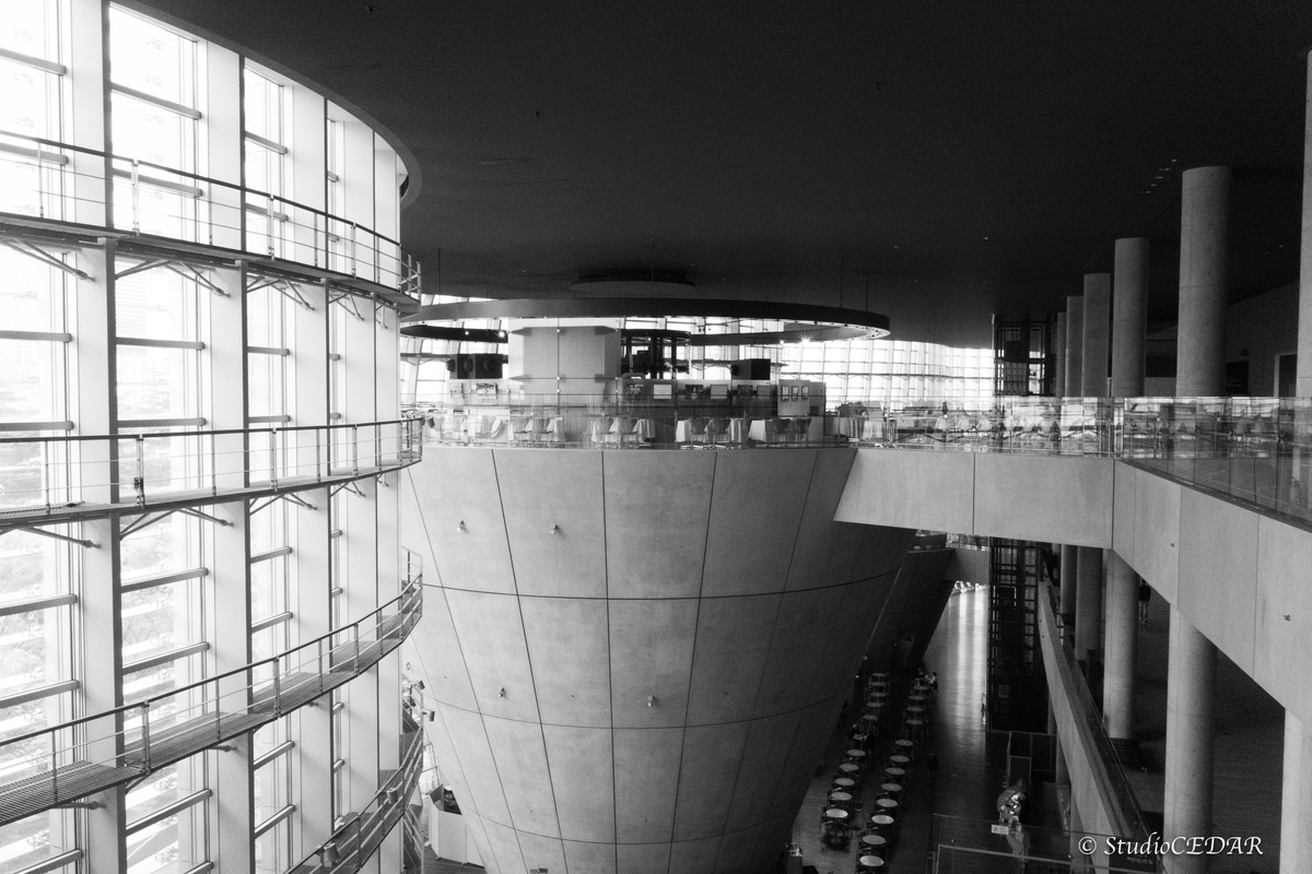 RICOH GRⅣ monochrome モノクローム 作例