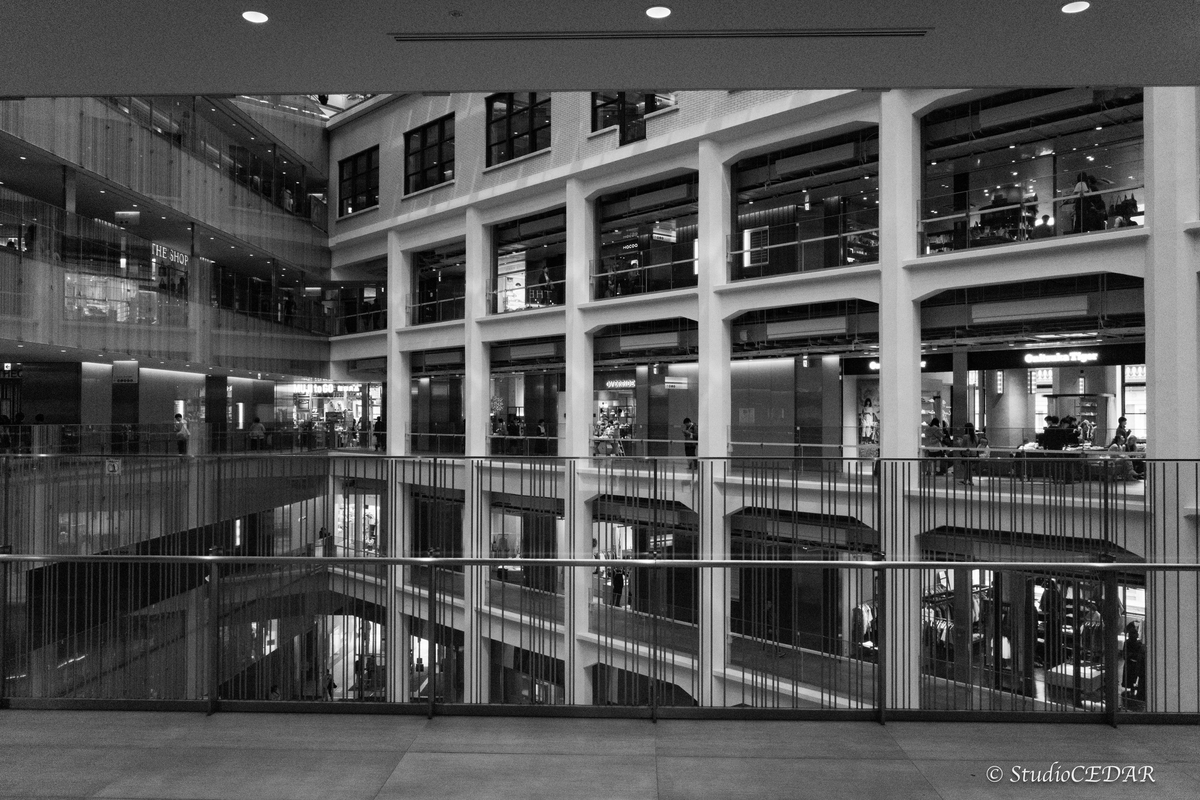 RICOH GRⅣ monochrome モノクローム 作例