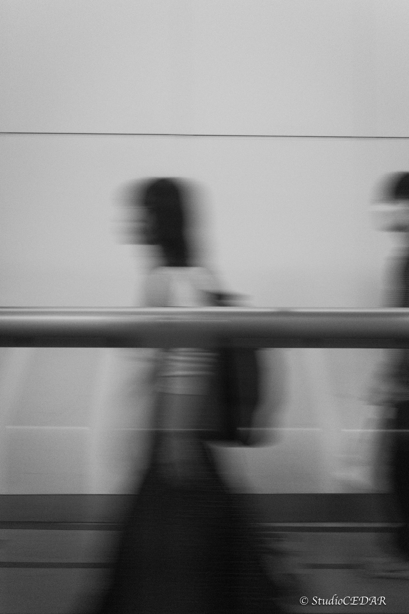 RICOH GRⅣ monochrome モノクローム 作例