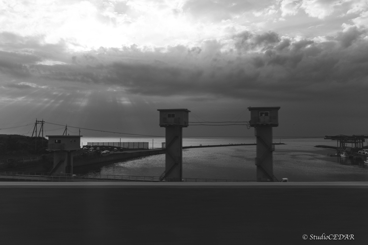 RICOH GRⅣ monochrome モノクローム 作例