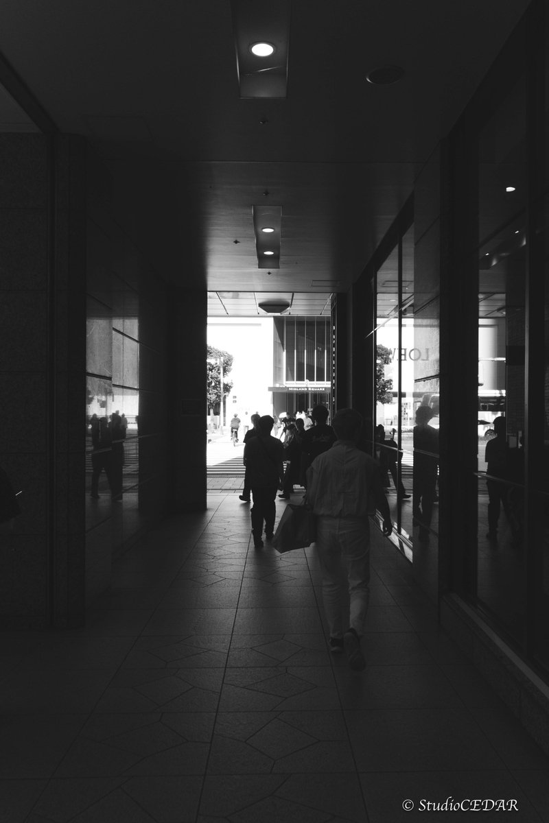 RICOH GRⅣ monochrome モノクローム 作例