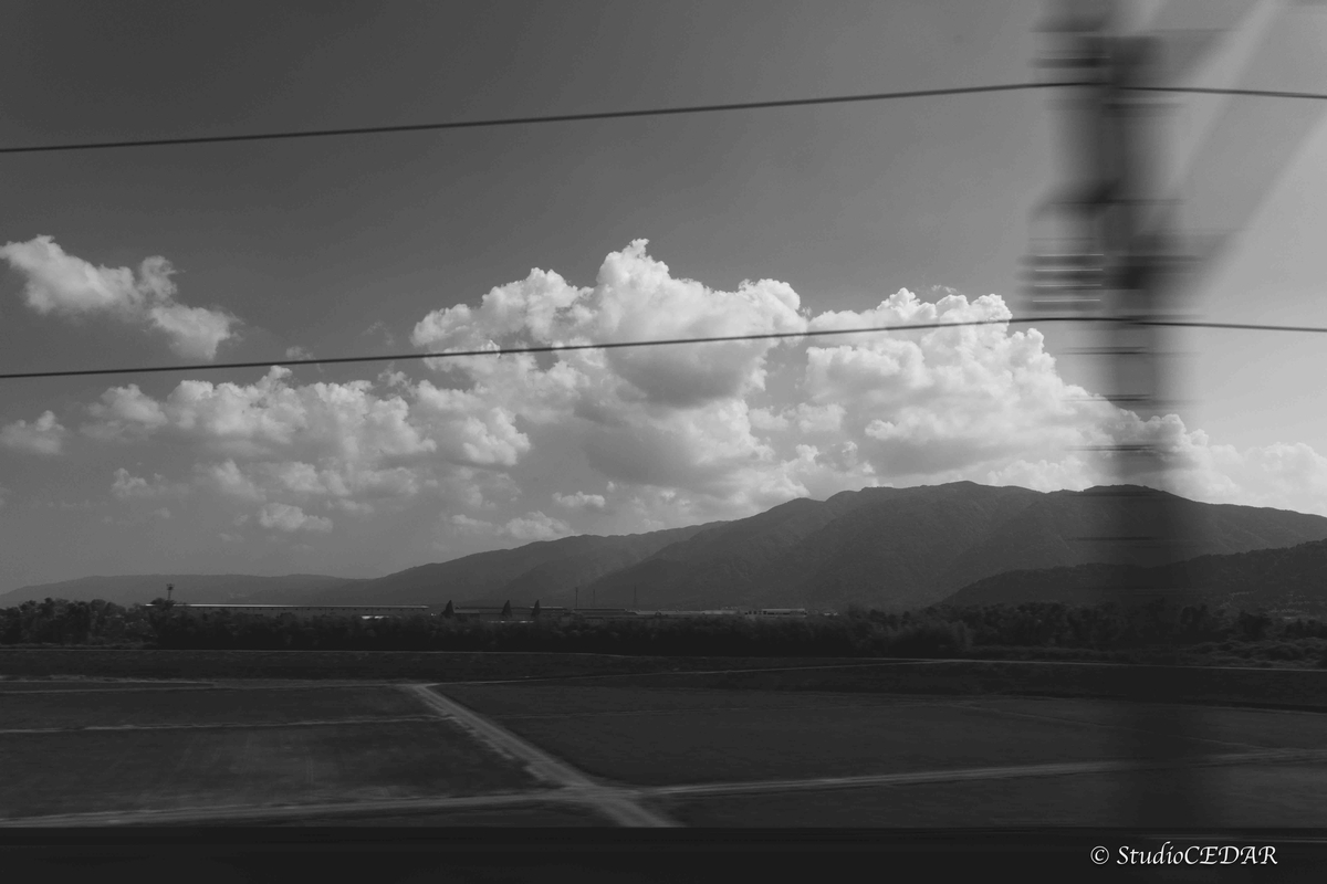 RICOH GRⅣ monochrome モノクローム 作例
