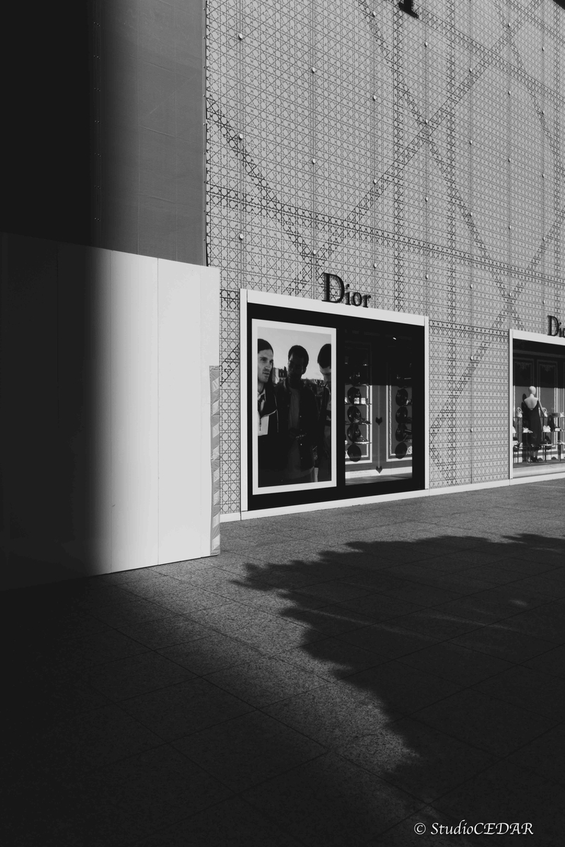 RICOH GRⅣ monochrome モノクローム 作例