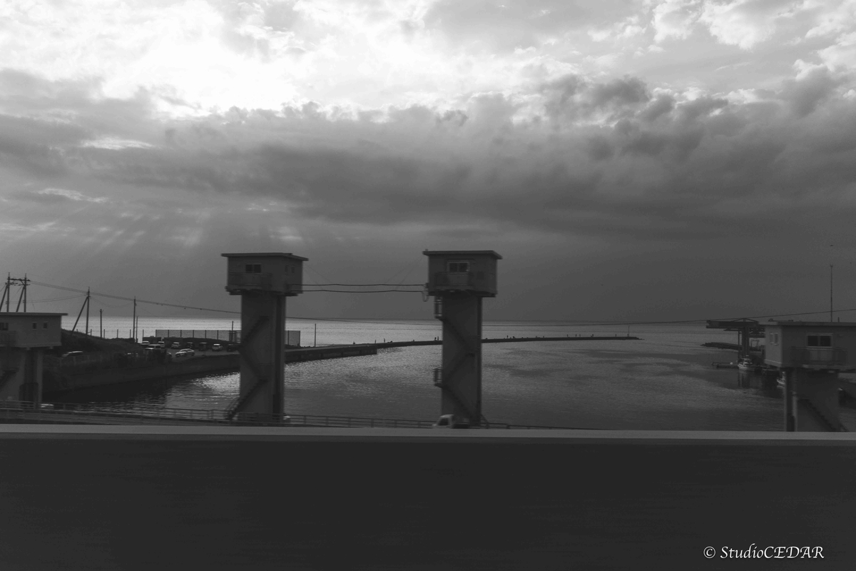 RICOH GRⅣ monochrome モノクローム 作例