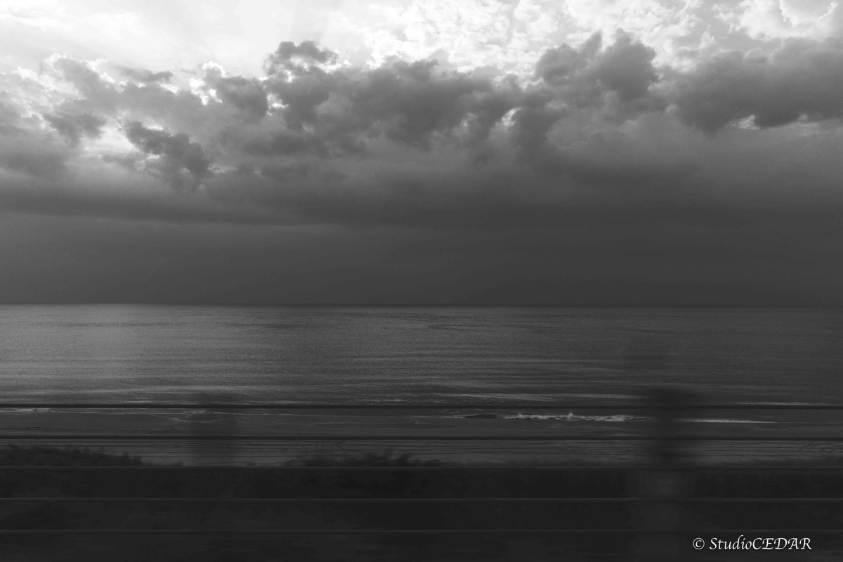 RICOH GRⅣ monochrome モノクローム 作例