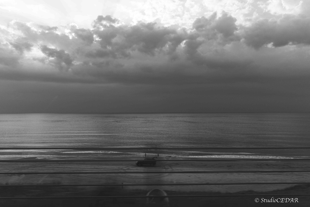 RICOH GRⅣ monochrome モノクローム 作例