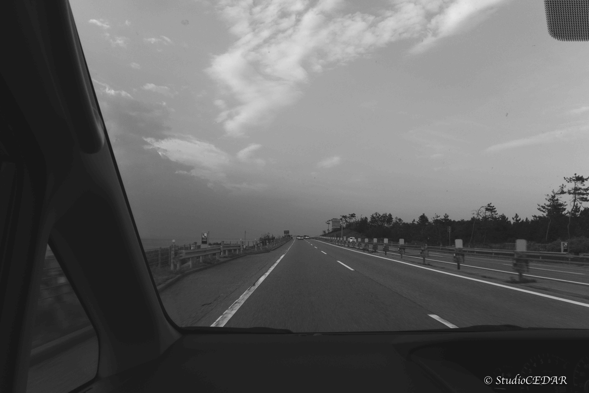 RICOH GRⅣ monochrome モノクローム 作例