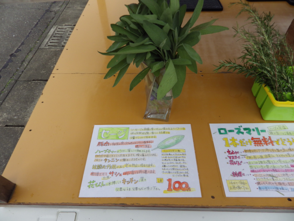 セージ1束100円