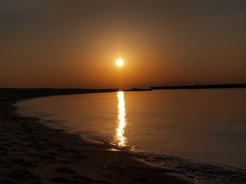f:id:Subway_Eli:20130303092208j:image f:id:Subway_Eli:20130303092208j:image