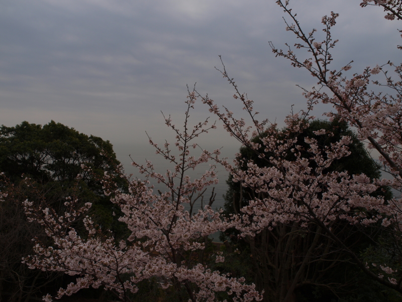 f:id:Subway_Eli:20130428224419j:image f:id:Subway_Eli:20130428224419j:image