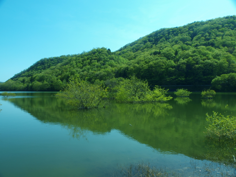 f:id:Subway_Eli:20130428224758j:image f:id:Subway_Eli:20130428224758j:image