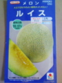 [物][植物]ルイス
