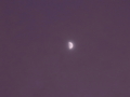 [夕方][空][雲][月]月