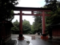 [木][植物][建物]氷川神社三の鳥居