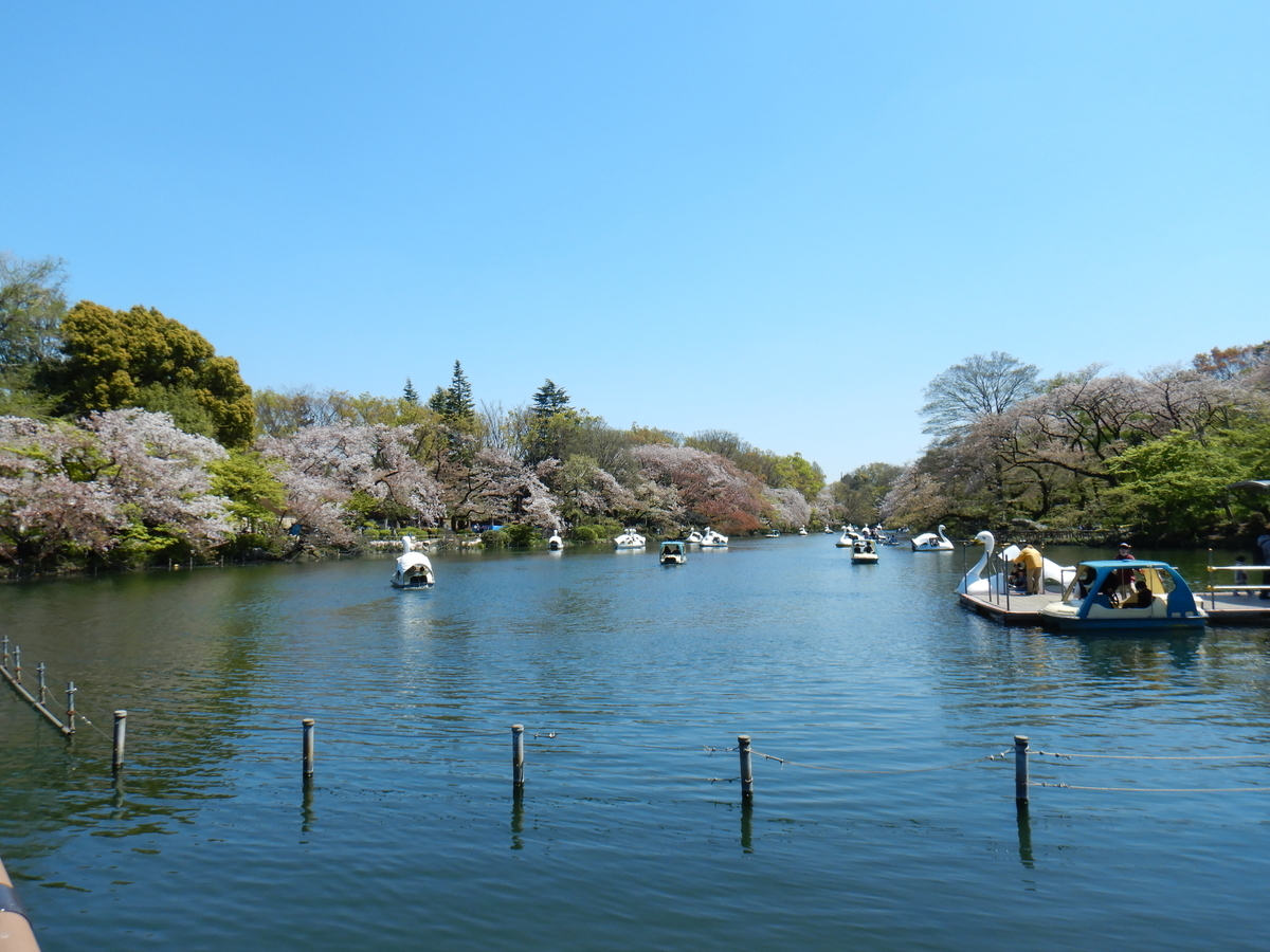 f:id:Sue_t:20190421003028j:plain