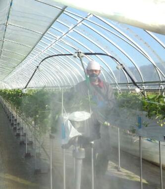 f:id:SugaFarm:20121003122309j:image