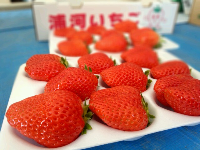 f:id:SugaFarm:20150110114044j:image f:id:SugaFarm:20150110114044j:image