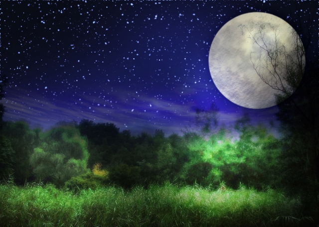 f:id:Sugiyaman:20160617174657j:plain f:id:Sugiyaman:20160617174657j:plain